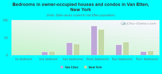 Bedrooms in owner-occupied houses and condos in Van Etten, New York