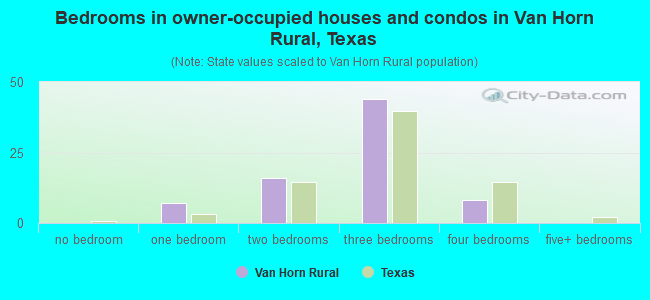 Bedrooms in owner-occupied houses and condos in Van Horn Rural, Texas