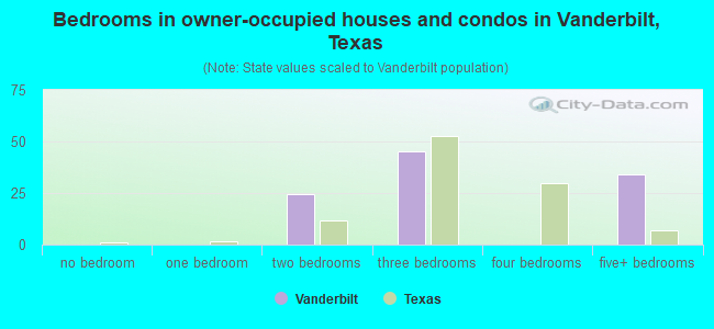 Bedrooms in owner-occupied houses and condos in Vanderbilt, Texas