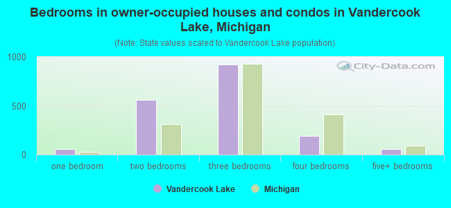 Bedrooms in owner-occupied houses and condos in Vandercook Lake, Michigan