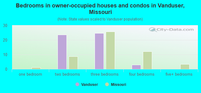 Bedrooms in owner-occupied houses and condos in Vanduser, Missouri