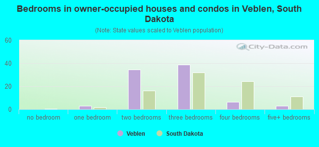 Bedrooms in owner-occupied houses and condos in Veblen, South Dakota