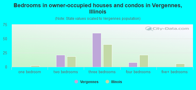 Bedrooms in owner-occupied houses and condos in Vergennes, Illinois