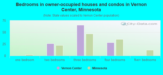 Bedrooms in owner-occupied houses and condos in Vernon Center, Minnesota