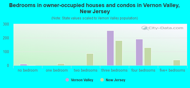 Bedrooms in owner-occupied houses and condos in Vernon Valley, New Jersey