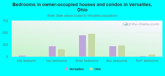 Bedrooms in owner-occupied houses and condos in Versailles, Ohio