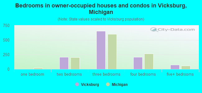 Bedrooms in owner-occupied houses and condos in Vicksburg, Michigan