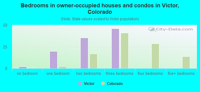 Bedrooms in owner-occupied houses and condos in Victor, Colorado