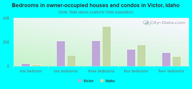 Bedrooms in owner-occupied houses and condos in Victor, Idaho