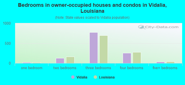 Bedrooms in owner-occupied houses and condos in Vidalia, Louisiana