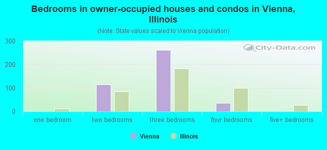 Bedrooms in owner-occupied houses and condos in Vienna, Illinois