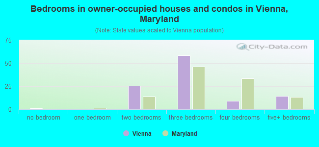 Bedrooms in owner-occupied houses and condos in Vienna, Maryland