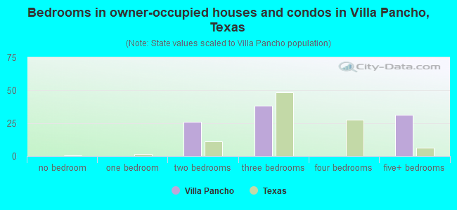 Bedrooms in owner-occupied houses and condos in Villa Pancho, Texas