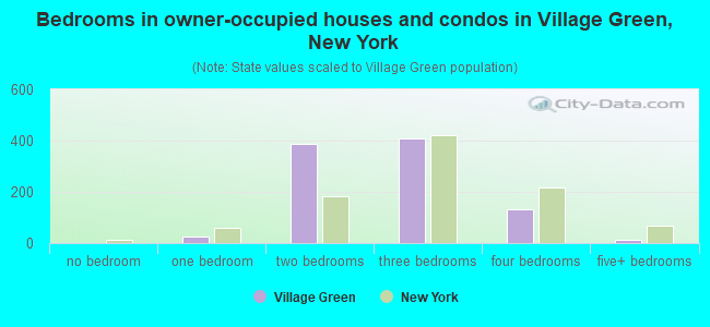 Bedrooms in owner-occupied houses and condos in Village Green, New York