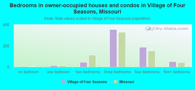Bedrooms in owner-occupied houses and condos in Village of Four Seasons, Missouri