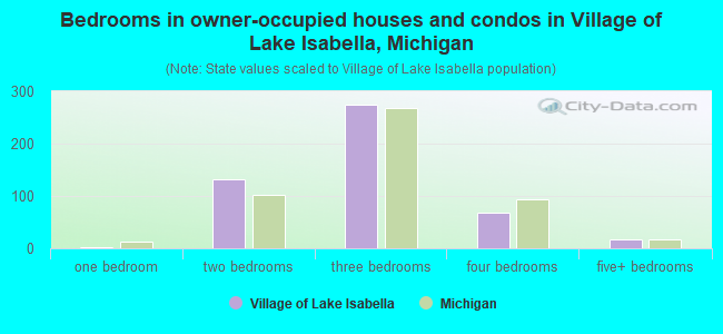 Bedrooms in owner-occupied houses and condos in Village of Lake Isabella, Michigan