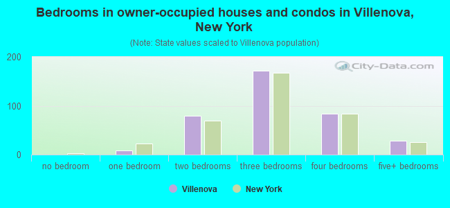 Bedrooms in owner-occupied houses and condos in Villenova, New York