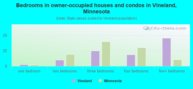 Bedrooms in owner-occupied houses and condos in Vineland, Minnesota
