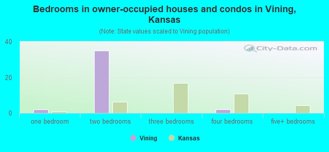 Bedrooms in owner-occupied houses and condos in Vining, Kansas