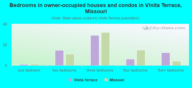Bedrooms in owner-occupied houses and condos in Vinita Terrace, Missouri