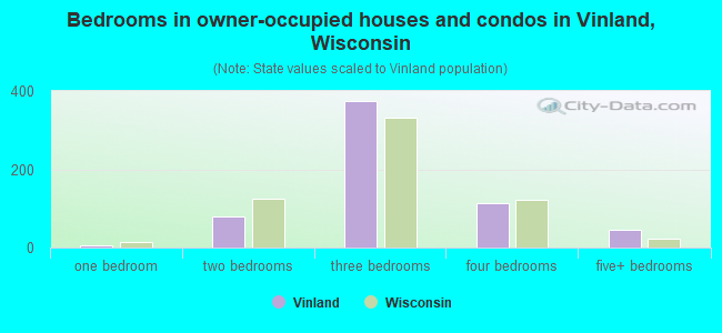 Bedrooms in owner-occupied houses and condos in Vinland, Wisconsin