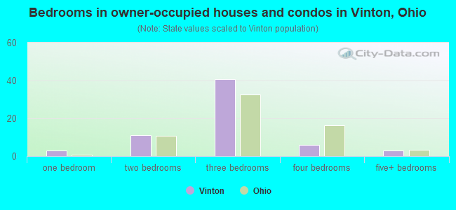 Bedrooms in owner-occupied houses and condos in Vinton, Ohio