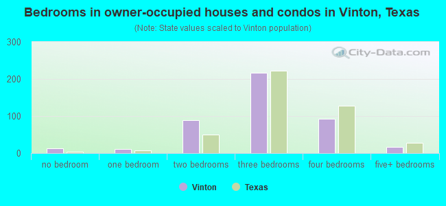 Bedrooms in owner-occupied houses and condos in Vinton, Texas