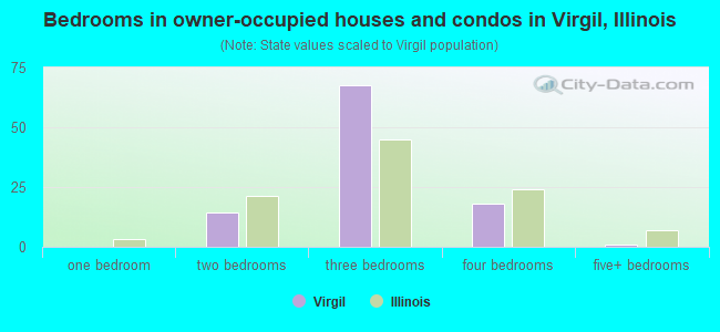 Bedrooms in owner-occupied houses and condos in Virgil, Illinois