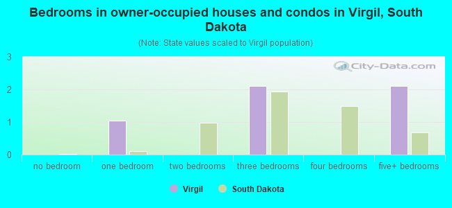 Bedrooms in owner-occupied houses and condos in Virgil, South Dakota