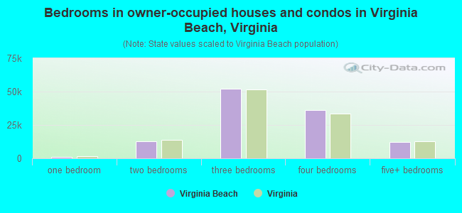Bedrooms in owner-occupied houses and condos in Virginia Beach, Virginia