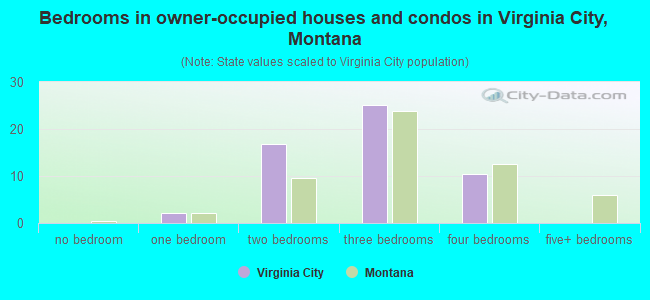 Bedrooms in owner-occupied houses and condos in Virginia City, Montana