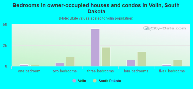 Bedrooms in owner-occupied houses and condos in Volin, South Dakota