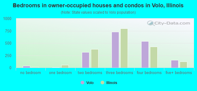 Bedrooms in owner-occupied houses and condos in Volo, Illinois