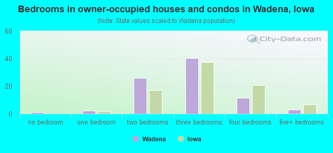 Bedrooms in owner-occupied houses and condos in Wadena, Iowa