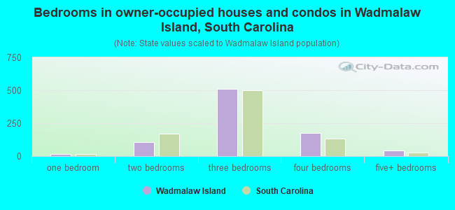 Bedrooms in owner-occupied houses and condos in Wadmalaw Island, South Carolina