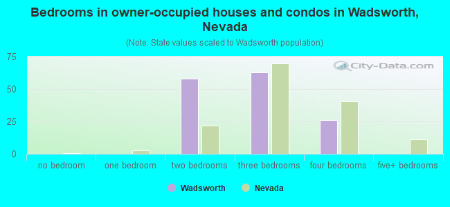 Bedrooms in owner-occupied houses and condos in Wadsworth, Nevada