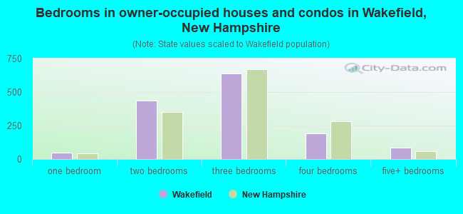 Bedrooms in owner-occupied houses and condos in Wakefield, New Hampshire