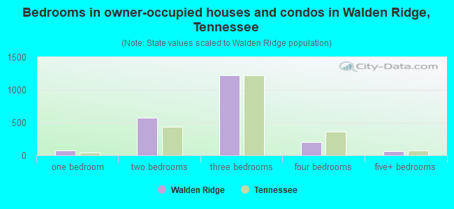 Bedrooms in owner-occupied houses and condos in Walden Ridge, Tennessee