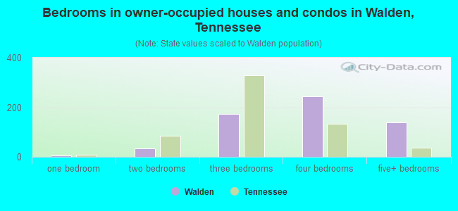 Bedrooms in owner-occupied houses and condos in Walden, Tennessee