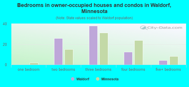 Bedrooms in owner-occupied houses and condos in Waldorf, Minnesota