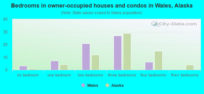 Bedrooms in owner-occupied houses and condos in Wales, Alaska