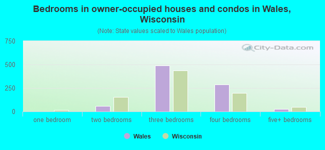 Bedrooms in owner-occupied houses and condos in Wales, Wisconsin
