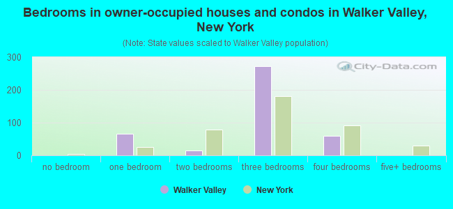 Bedrooms in owner-occupied houses and condos in Walker Valley, New York