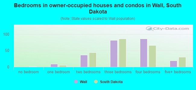 Bedrooms in owner-occupied houses and condos in Wall, South Dakota