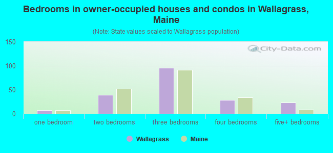 Bedrooms in owner-occupied houses and condos in Wallagrass, Maine