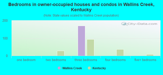 Bedrooms in owner-occupied houses and condos in Wallins Creek, Kentucky