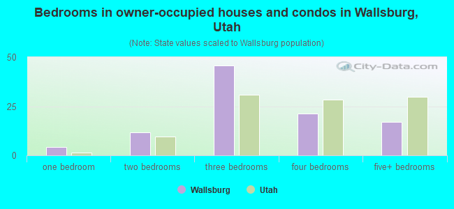 Bedrooms in owner-occupied houses and condos in Wallsburg, Utah