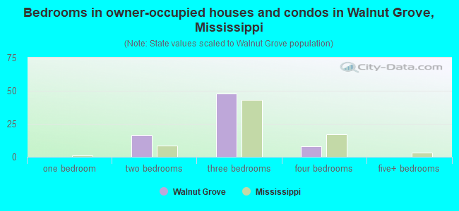 Bedrooms in owner-occupied houses and condos in Walnut Grove, Mississippi