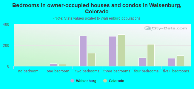 Bedrooms in owner-occupied houses and condos in Walsenburg, Colorado