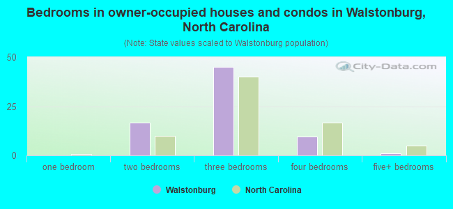 Bedrooms in owner-occupied houses and condos in Walstonburg, North Carolina